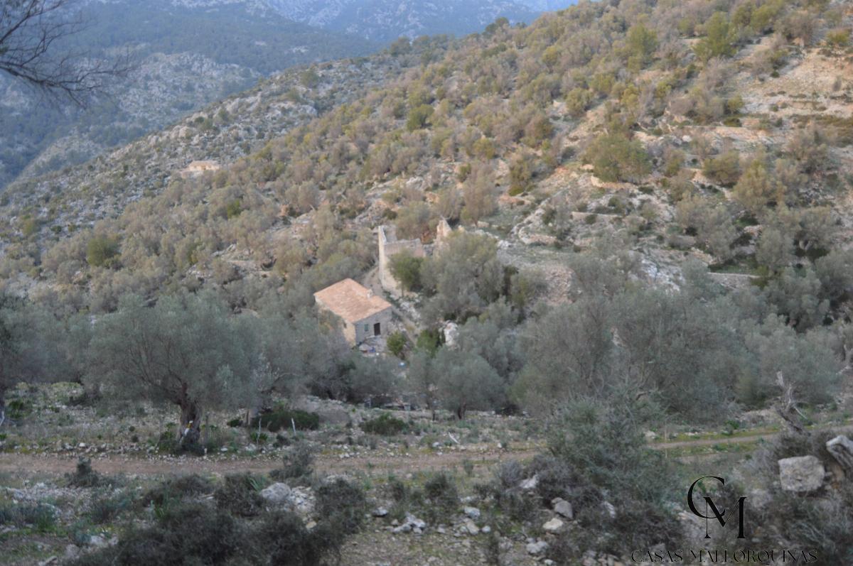 Zu verkaufen von grundstück in
 Mancor de la Vall