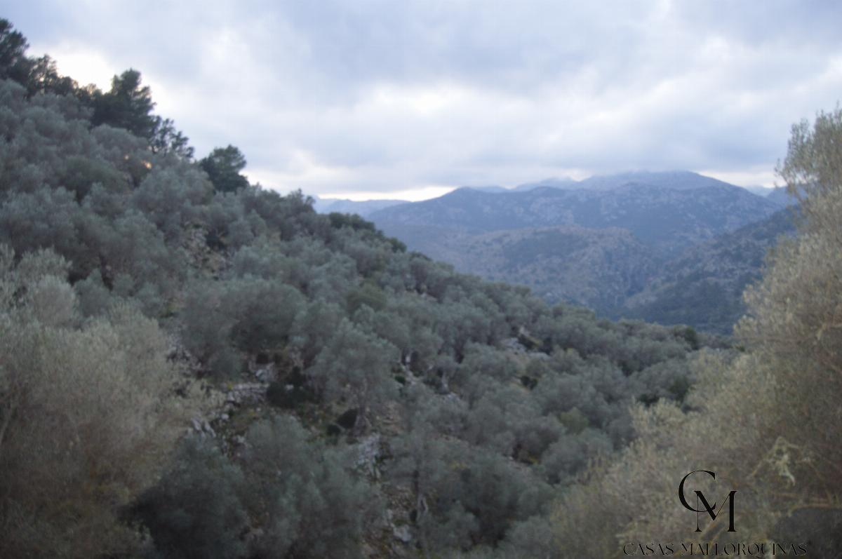 Zu verkaufen von grundstück in
 Mancor de la Vall