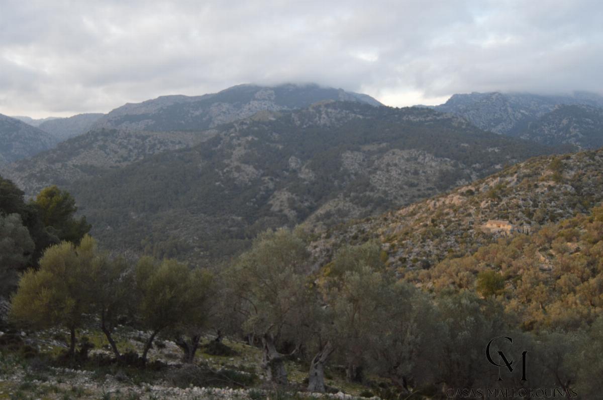 Zu verkaufen von grundstück in
 Mancor de la Vall