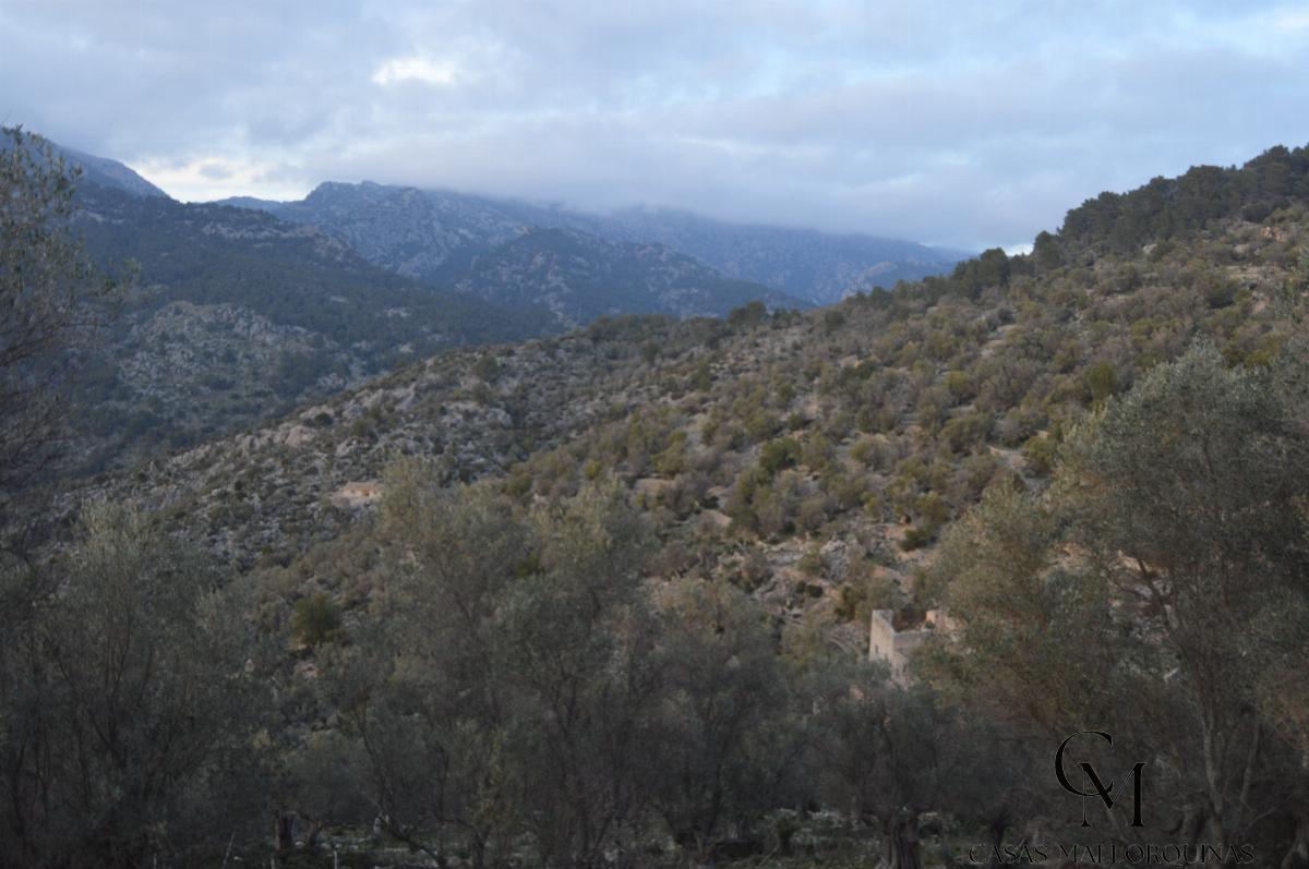 Zu verkaufen von grundstück in
 Mancor de la Vall