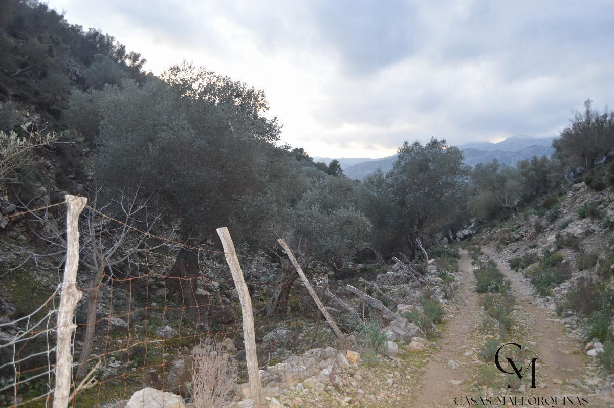 Zu verkaufen von grundstück in
 Mancor de la Vall