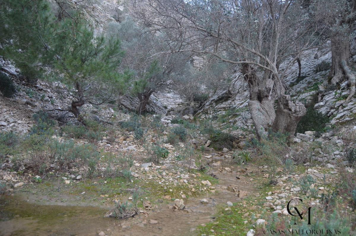 Zu verkaufen von grundstück in
 Mancor de la Vall