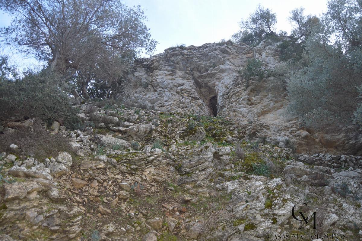 Zu verkaufen von grundstück in
 Mancor de la Vall