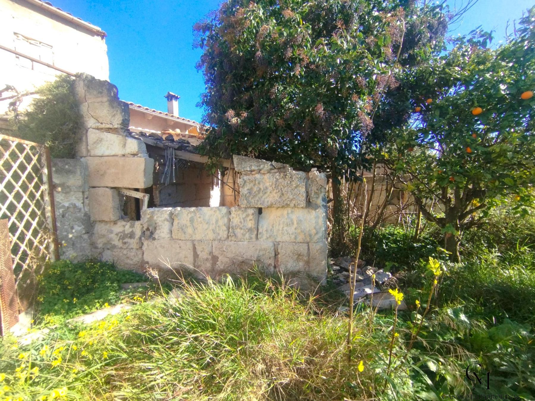 Venta de finca rústica en Santa Margalida