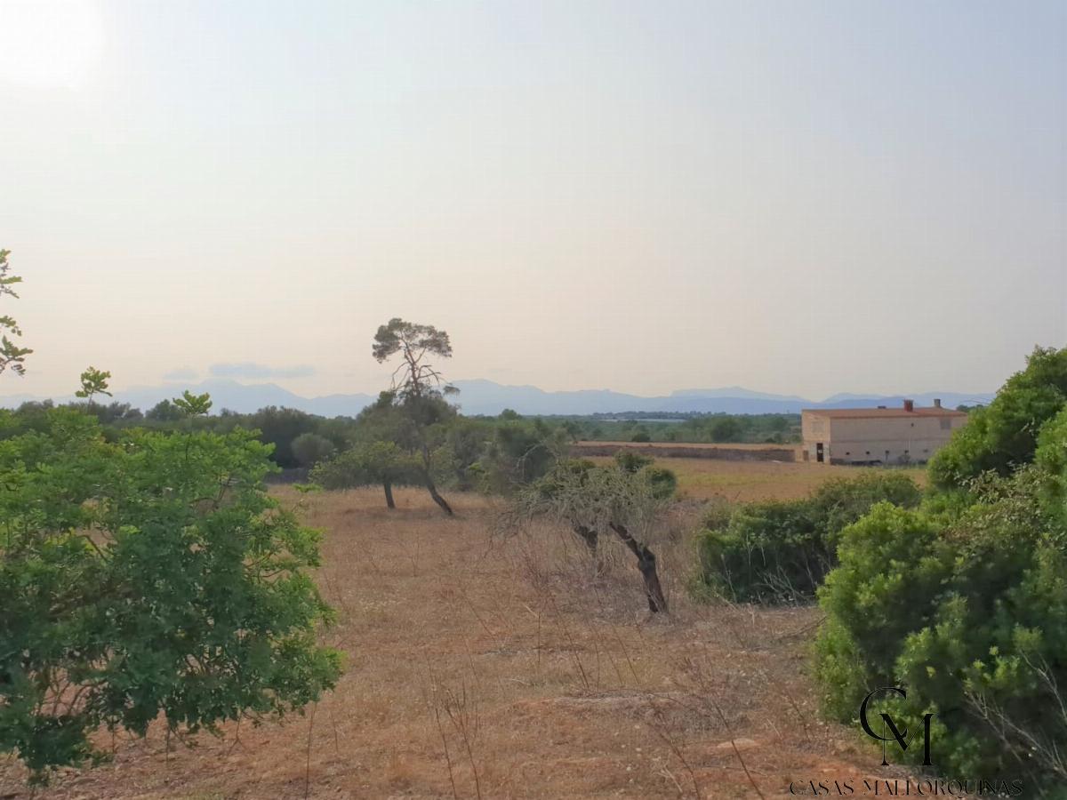Zu verkaufen von grundstück in
 Santa Margalida