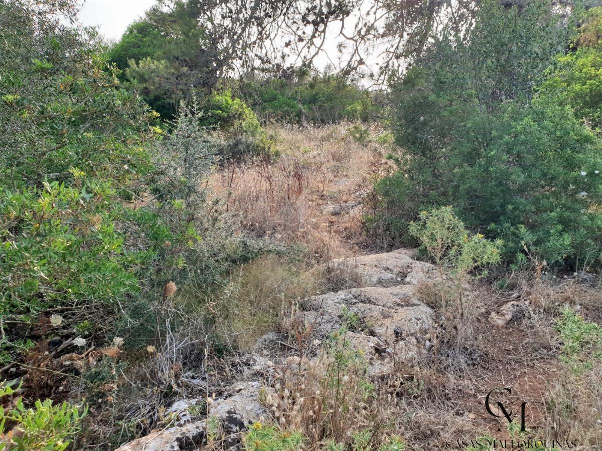 Zu verkaufen von grundstück in
 Santa Margalida