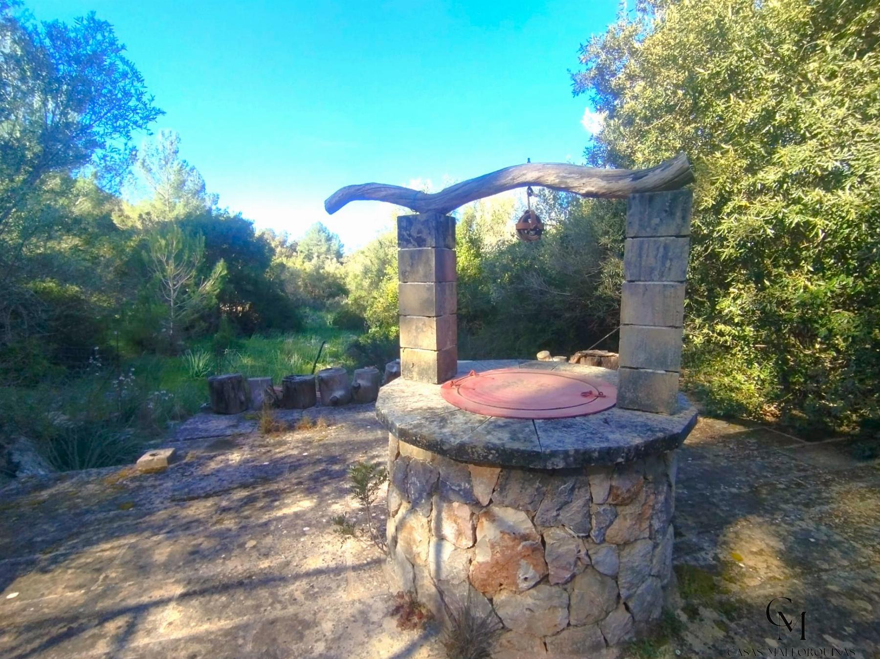 Venta de finca rústica en Campanet