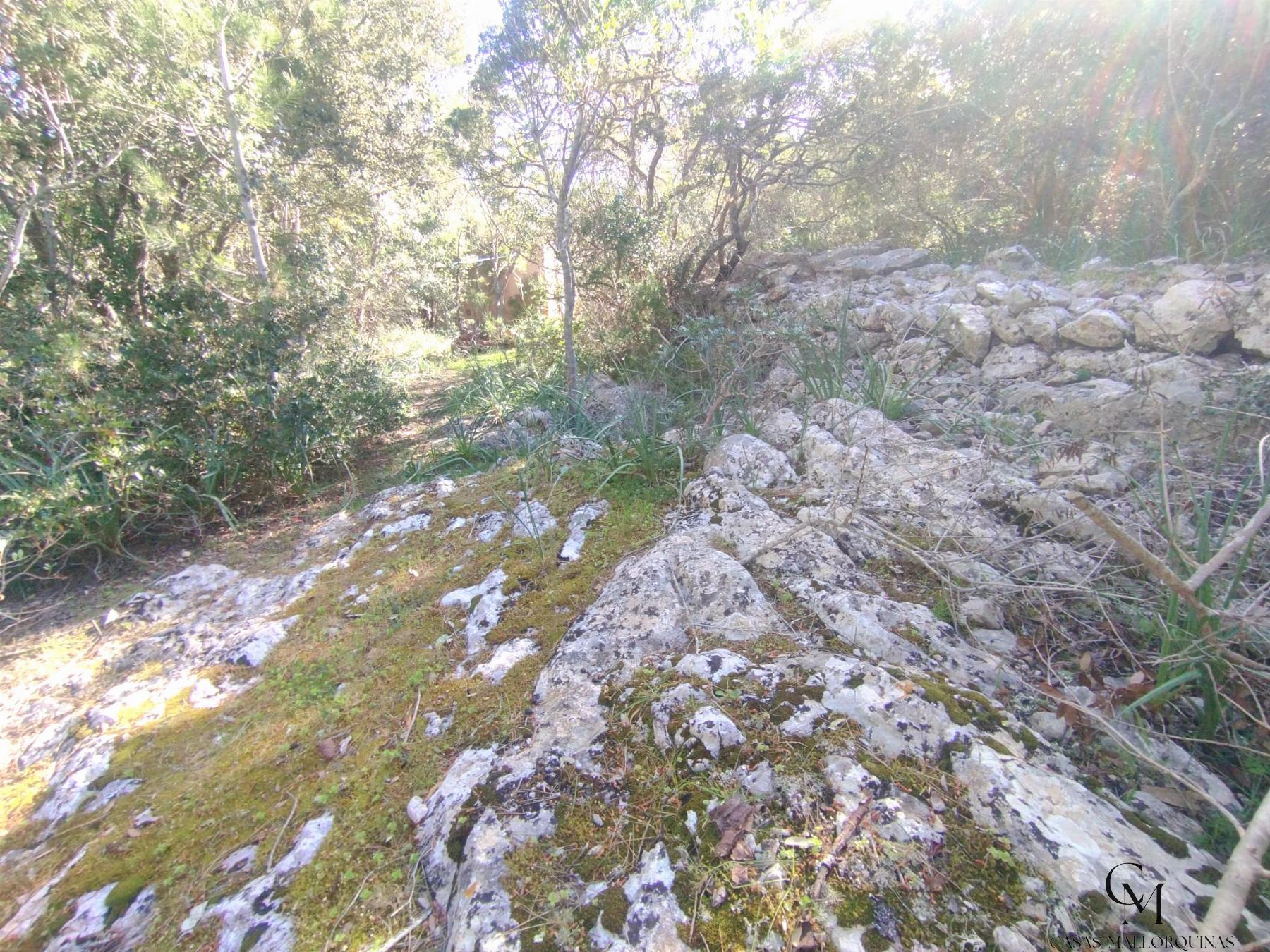 Venta de finca rústica en Campanet