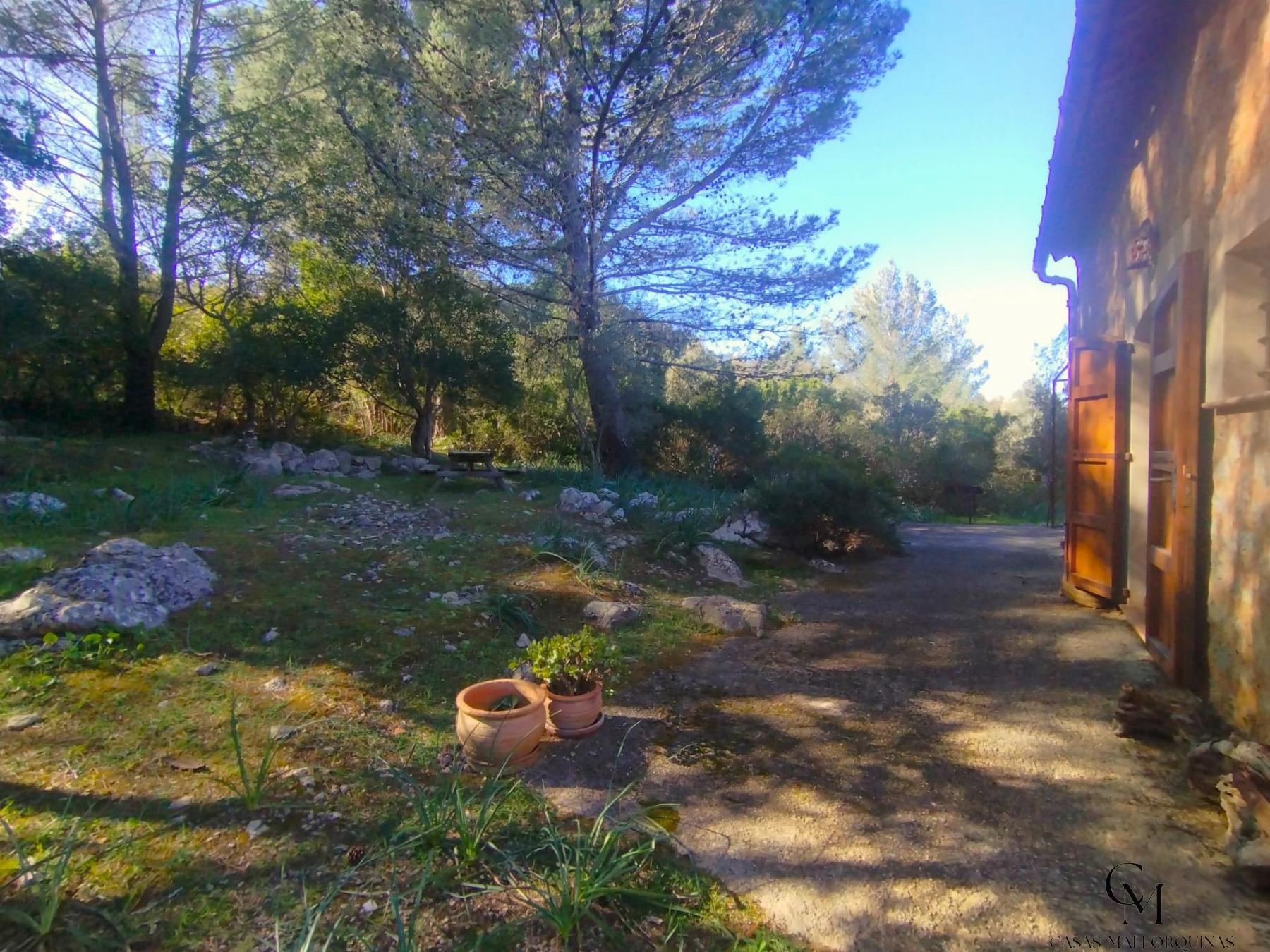 Venta de finca rústica en Campanet