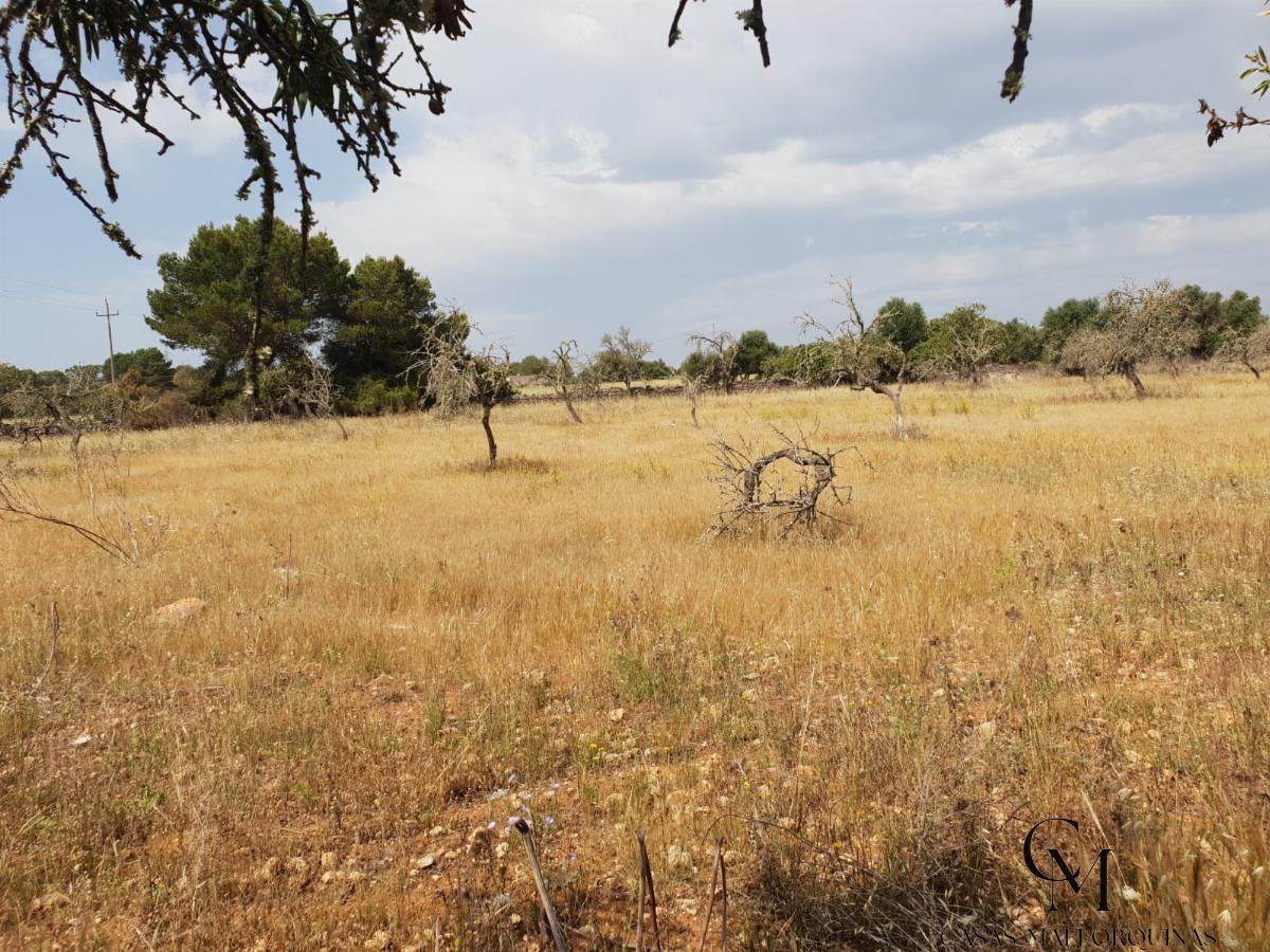Venta de terreno en Can Picafort