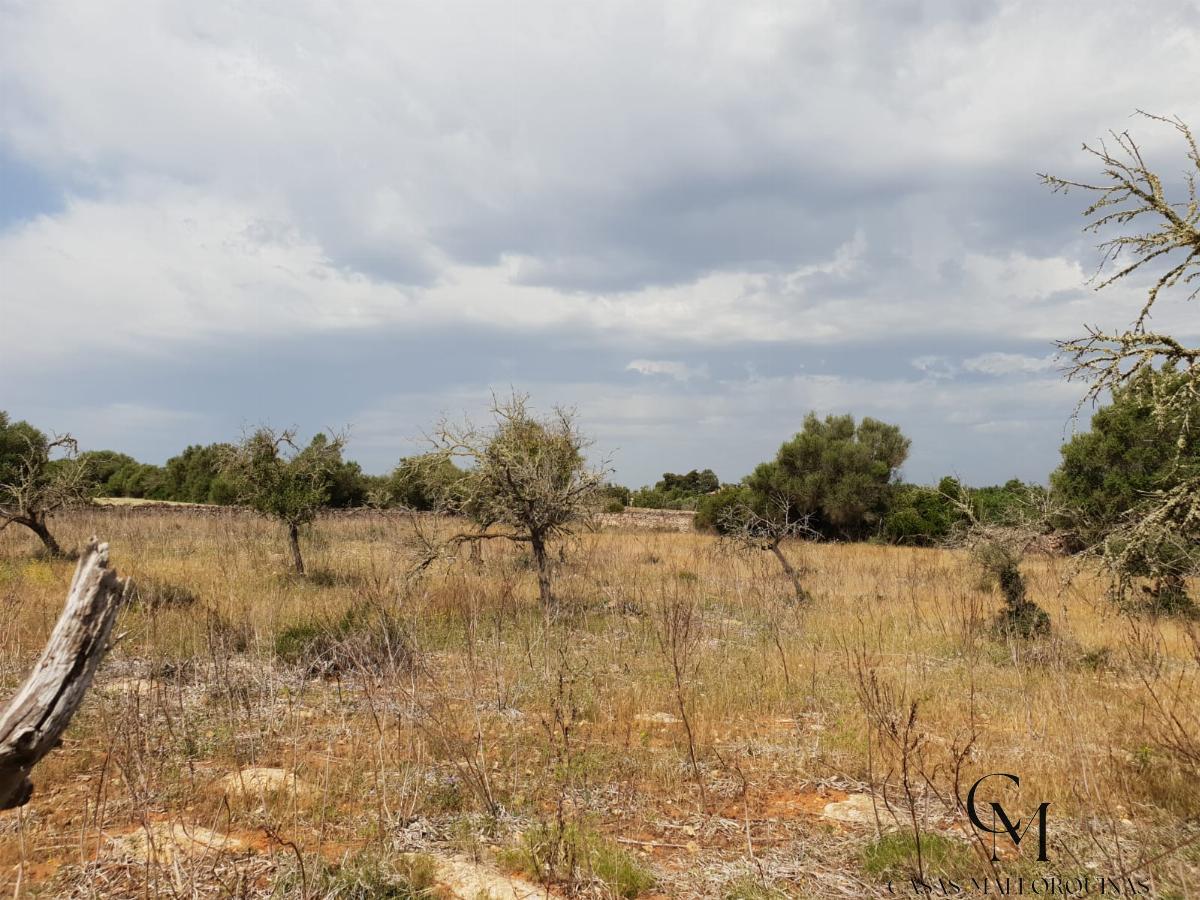 Venta de terreno en Can Picafort