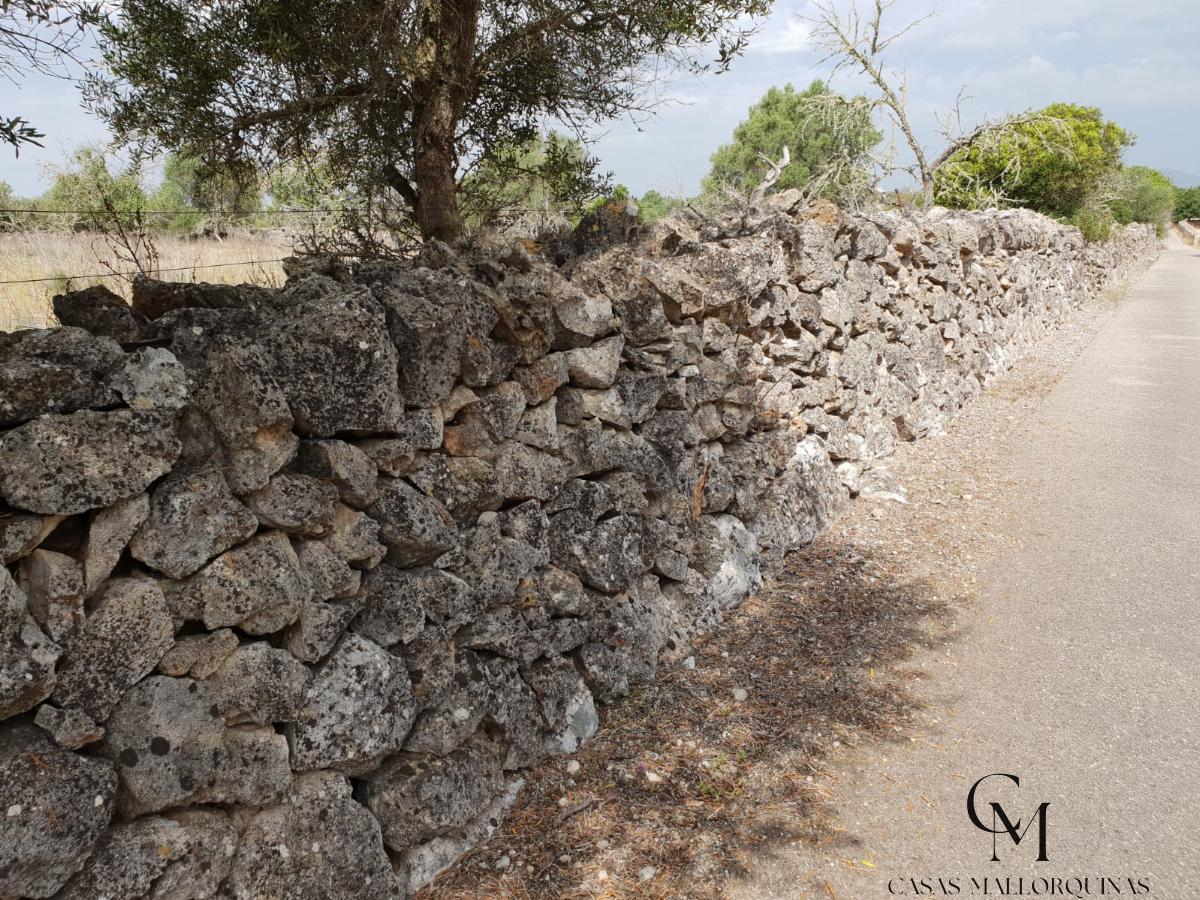 Venta de terreno en Can Picafort