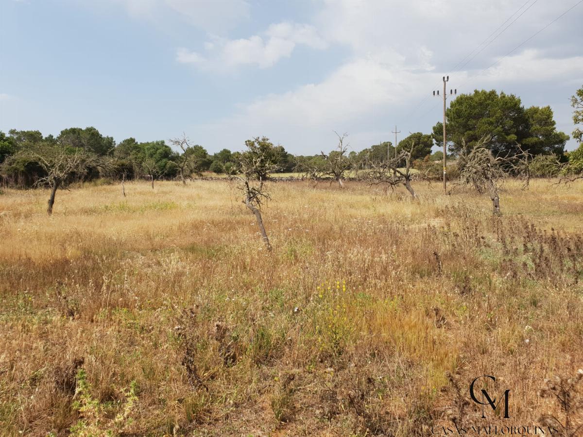 Venta de terreno en Can Picafort