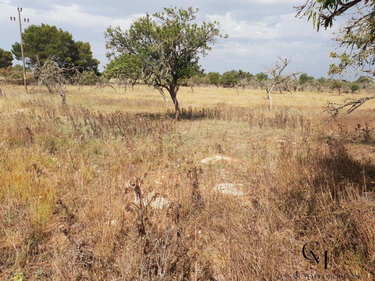 Venta de terreno en Can Picafort