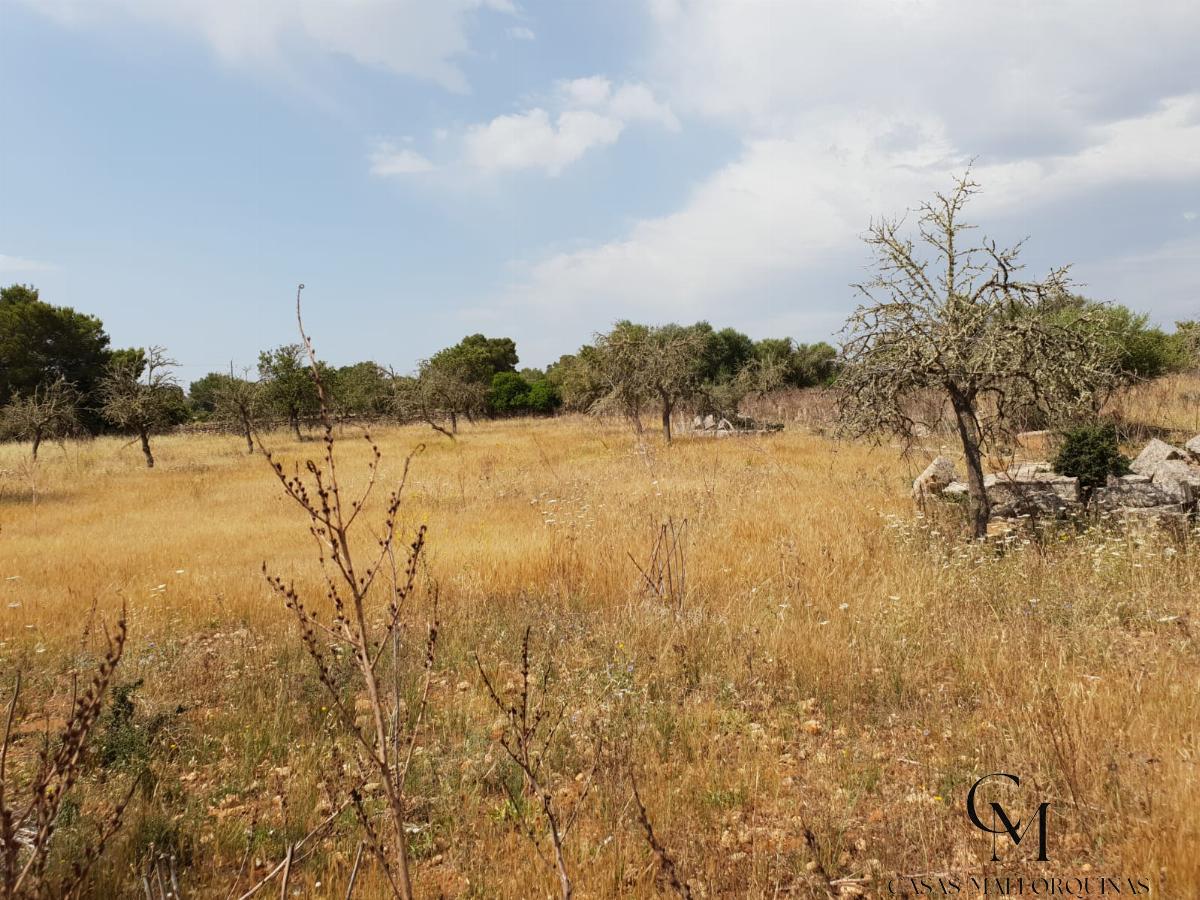 Venta de terreno en Can Picafort