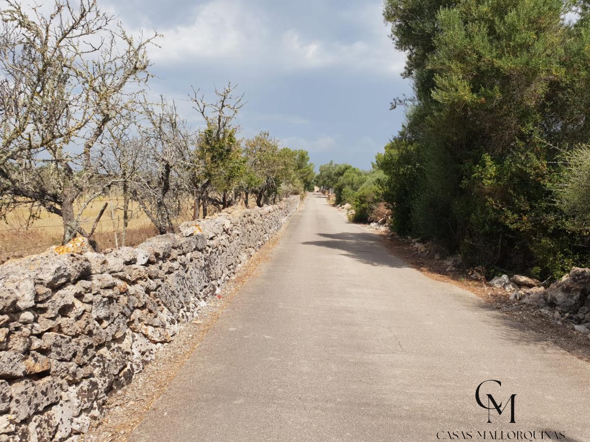 Venta de terreno en Can Picafort