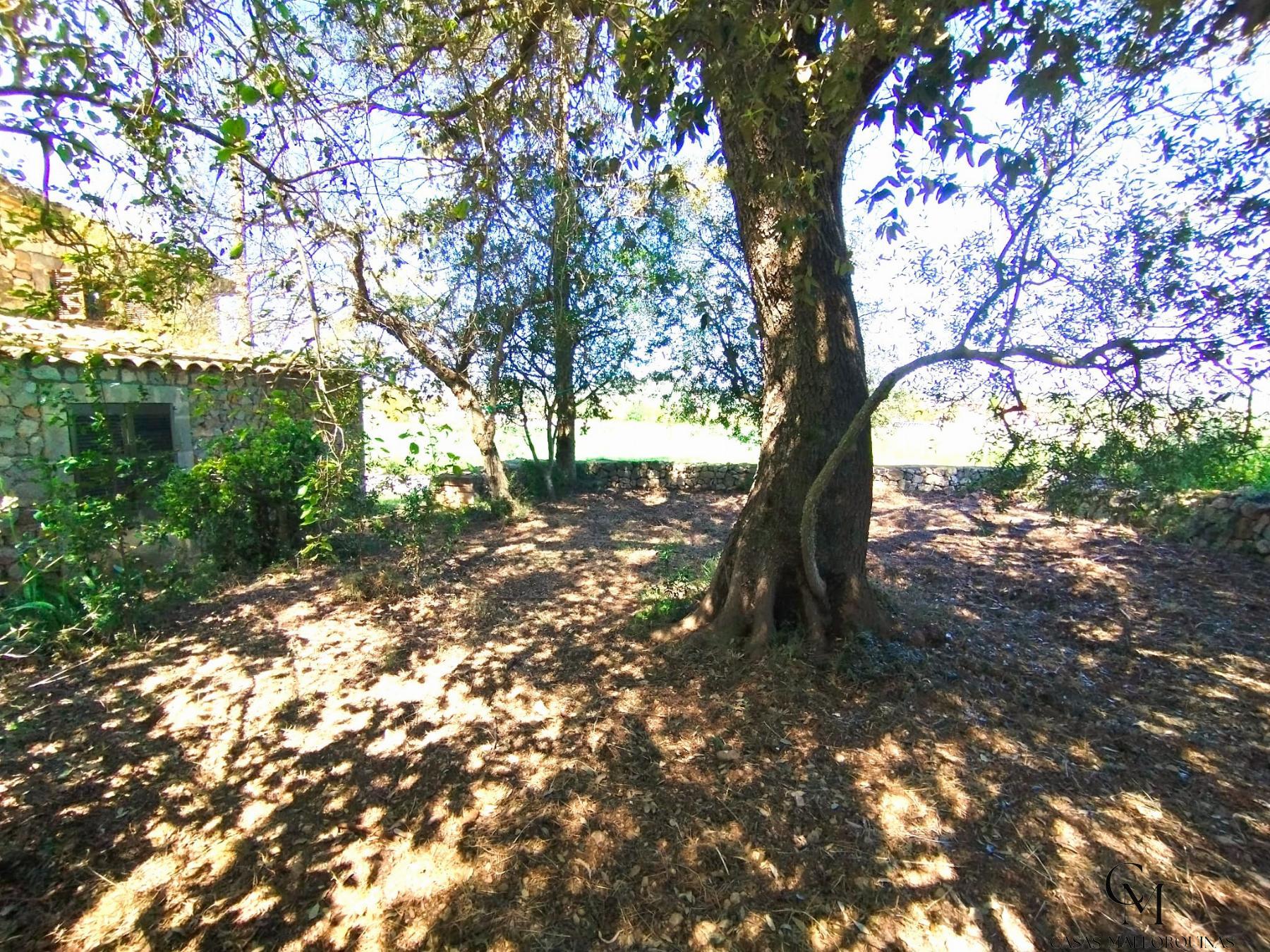 Alquiler de finca rústica en Sineu