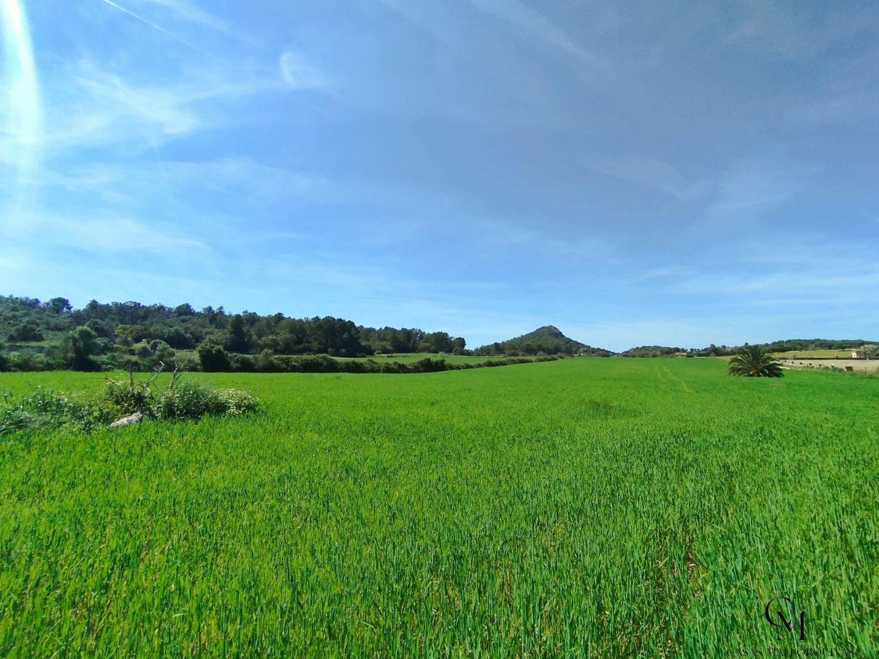 Alquiler de finca rústica en Sineu