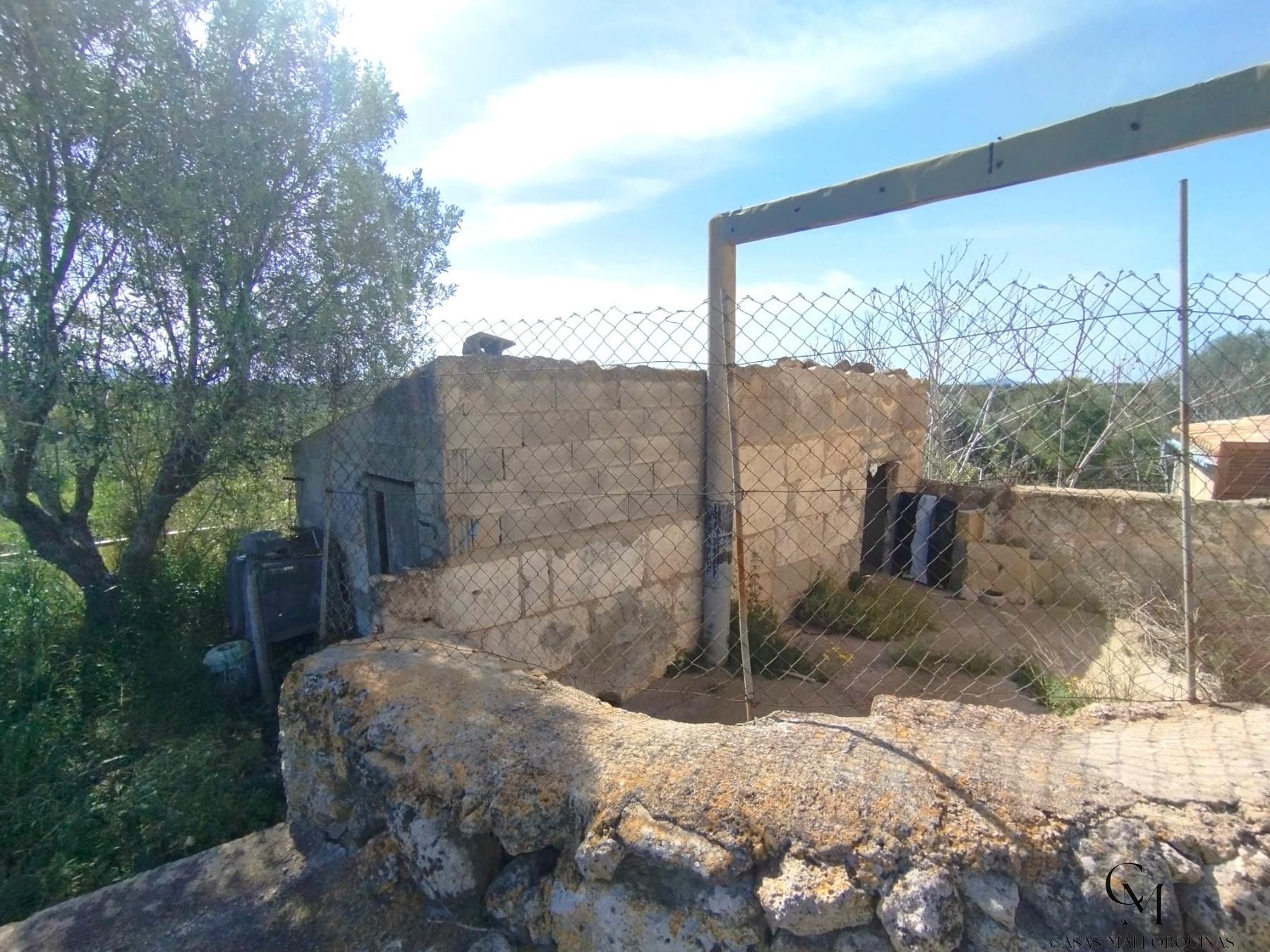 Venta de finca rústica en Santa Margalida