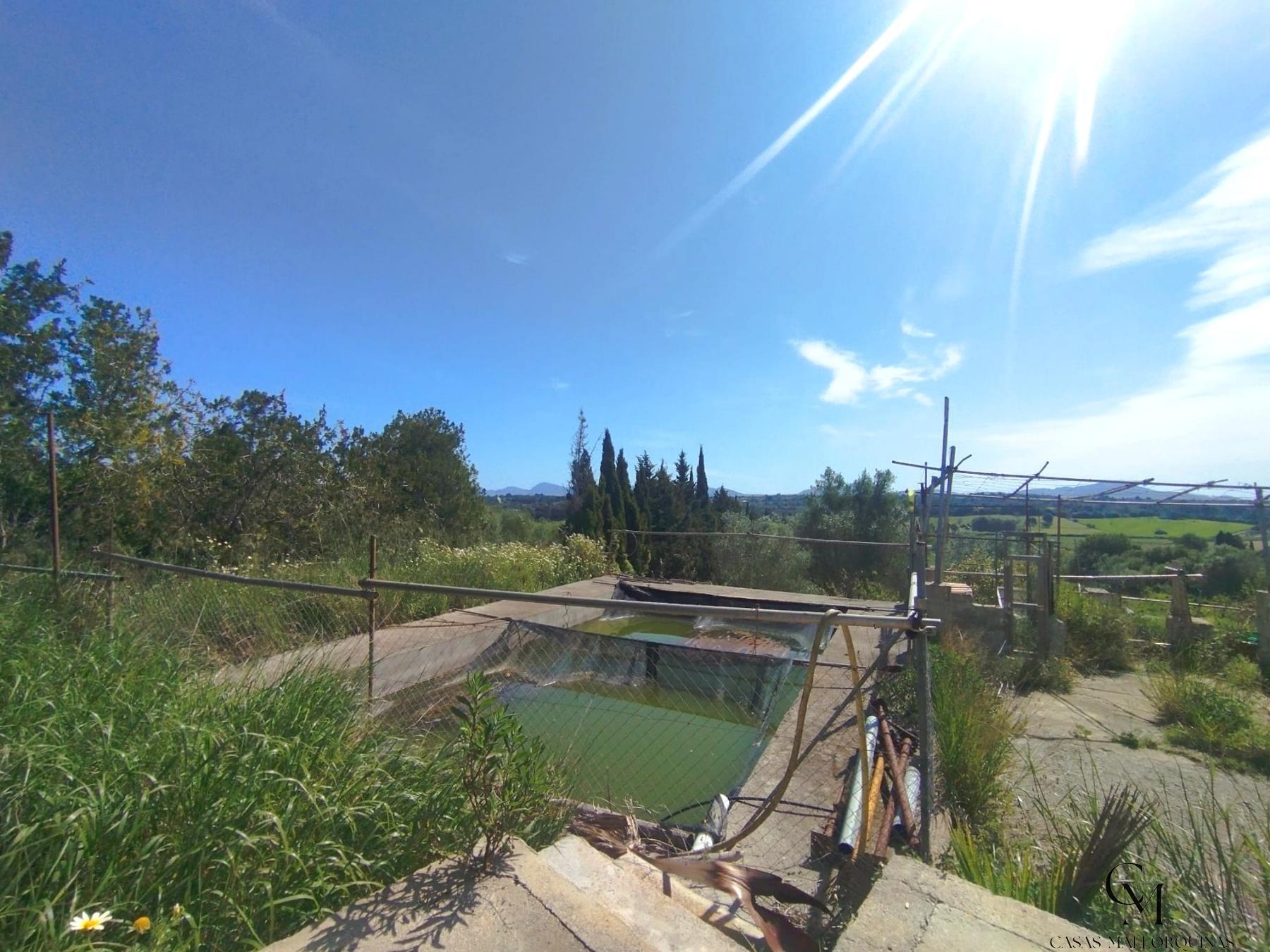 Venta de finca rústica en Santa Margalida