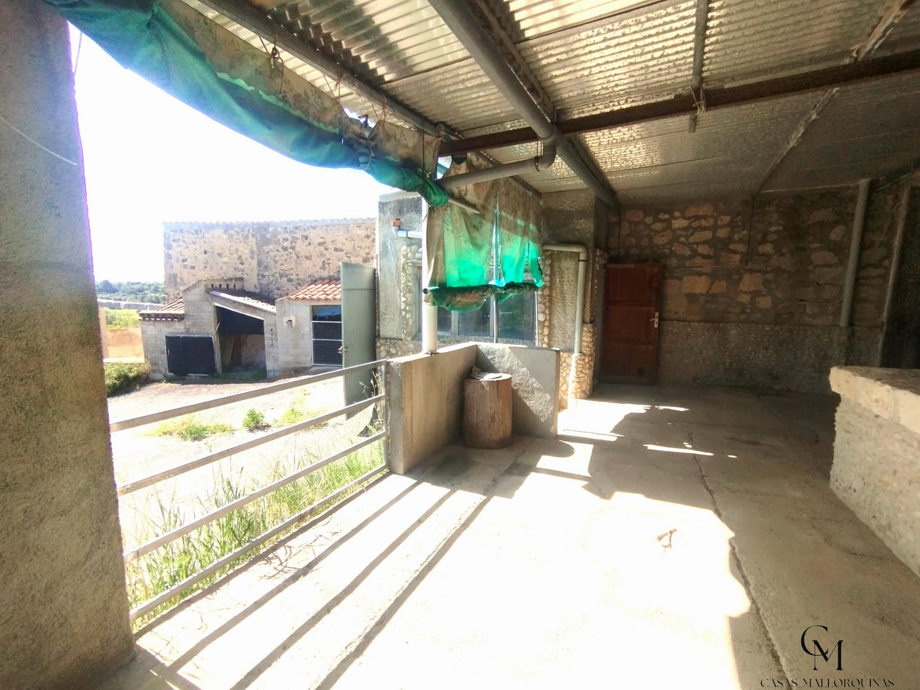 Venta de finca rústica en Santa Margalida