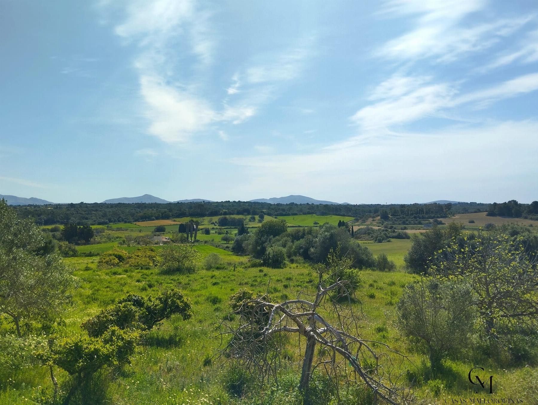 Venta de finca rústica en Santa Margalida