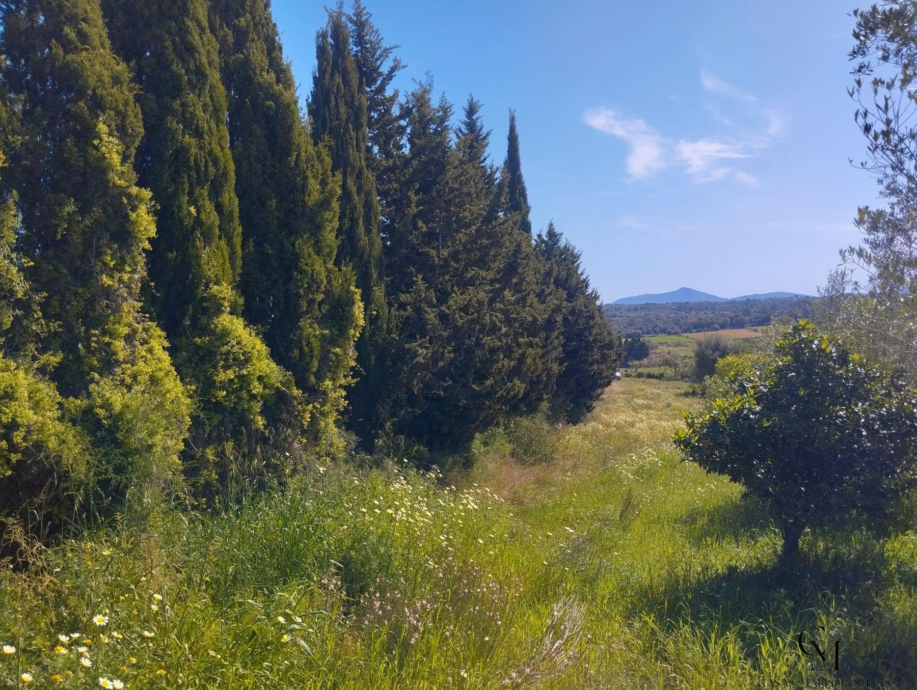 Venta de finca rústica en Santa Margalida