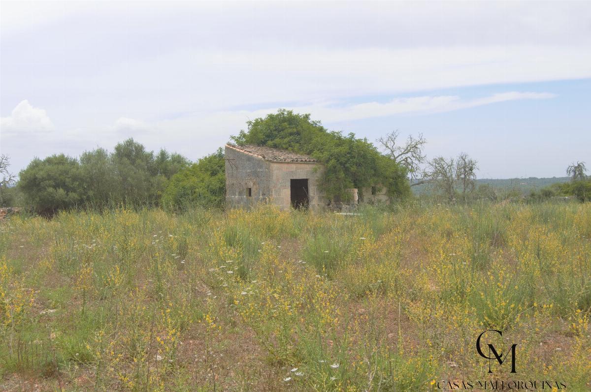 For sale of land in Santa Margalida