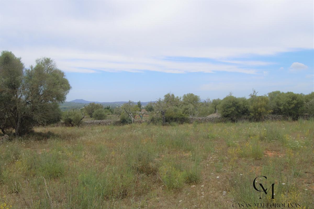 For sale of land in Santa Margalida