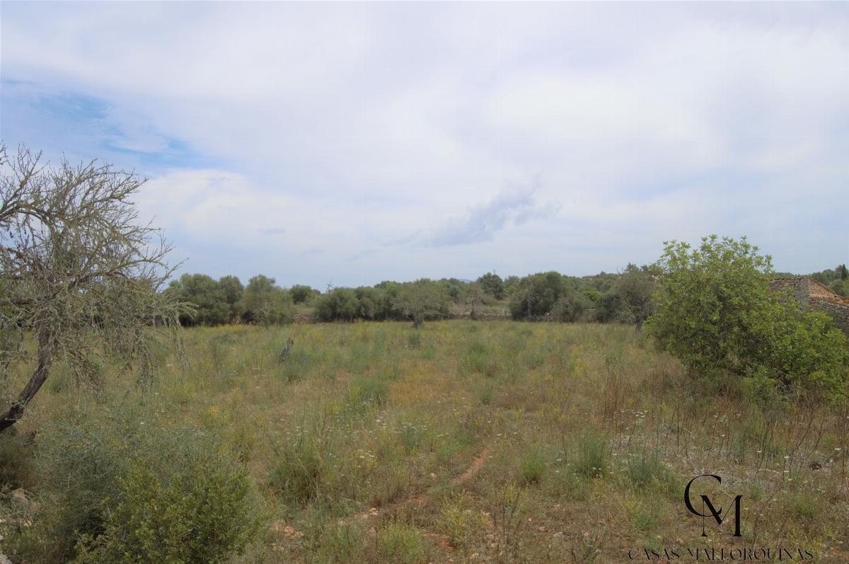 For sale of land in Santa Margalida