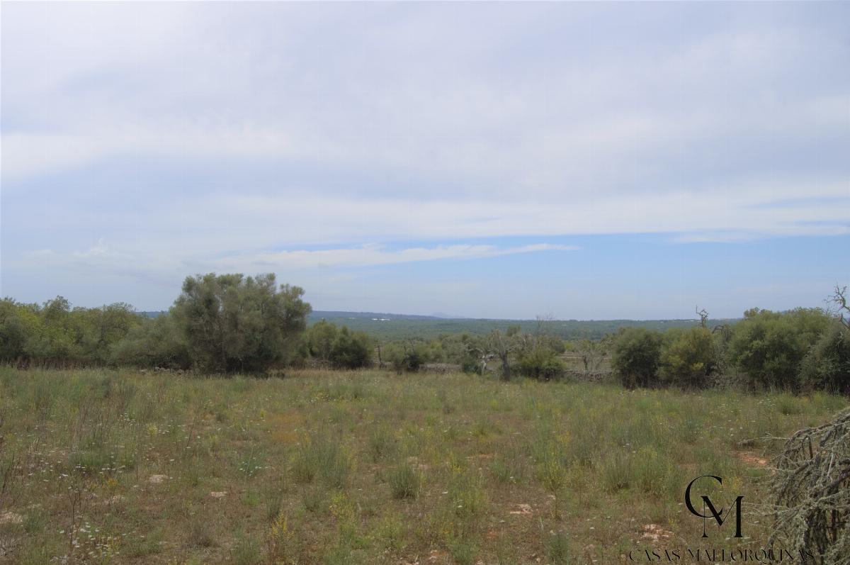 For sale of land in Santa Margalida