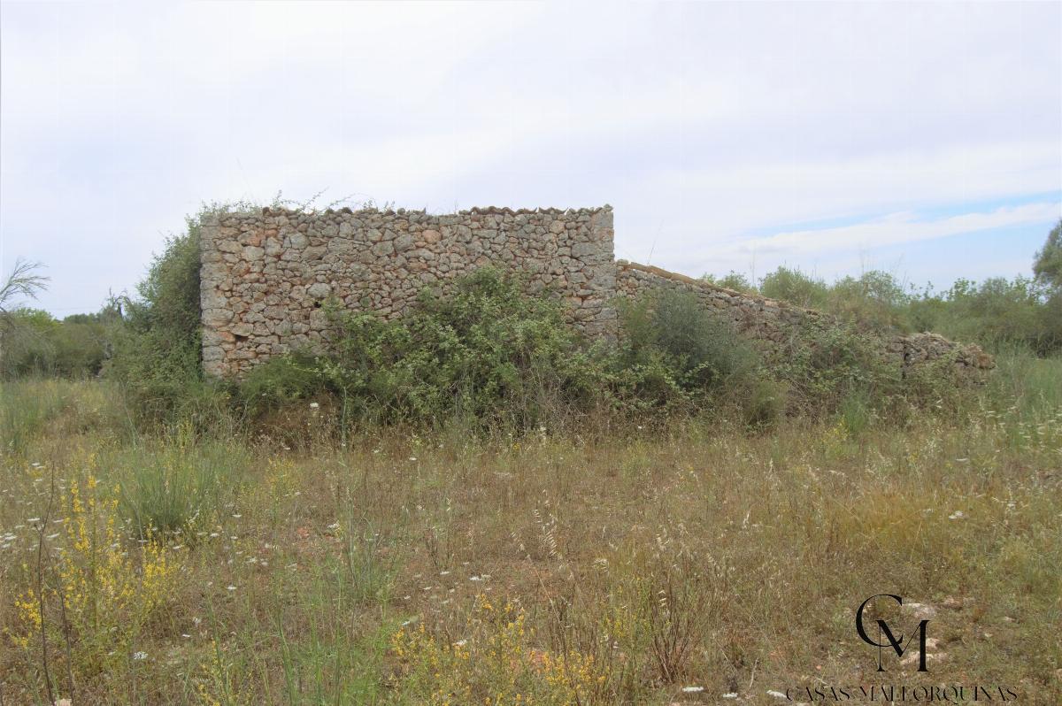 For sale of land in Santa Margalida