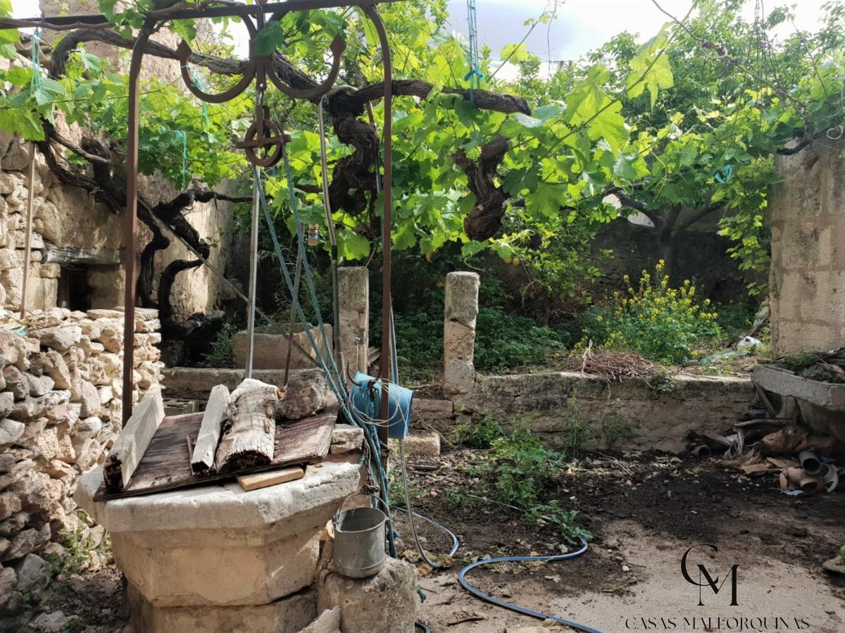 Jardín