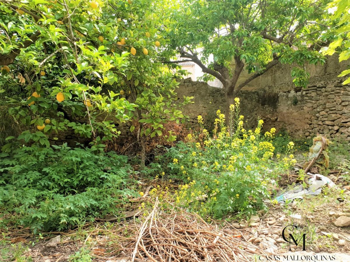 Jardín