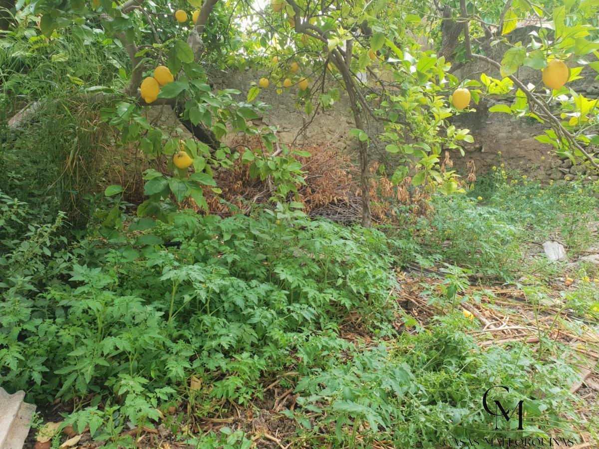Jardín