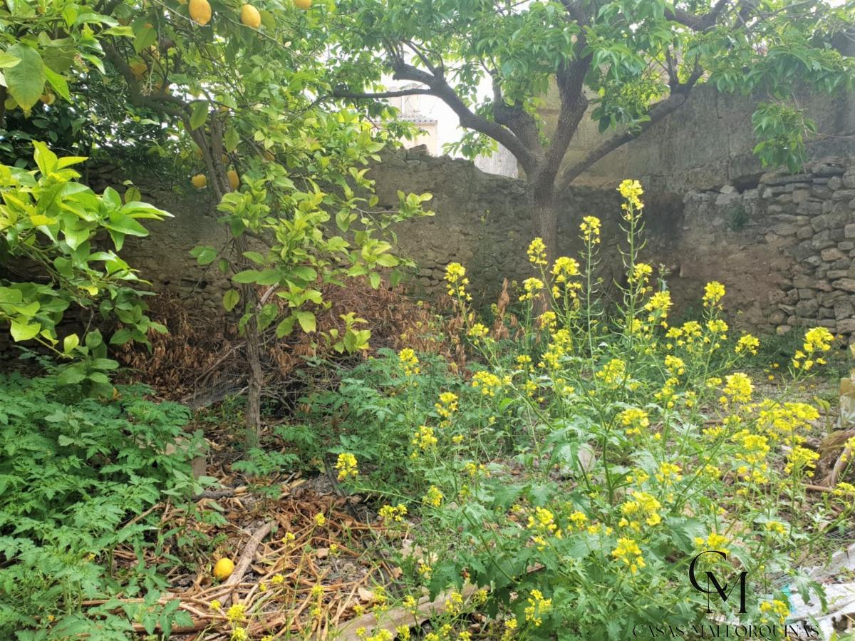 Jardín