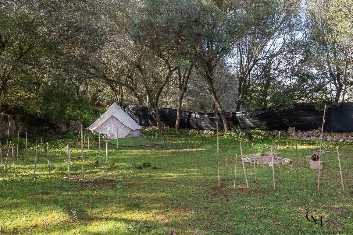 Venta de finca rústica en Algaida