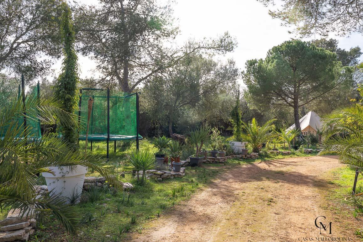 Venta de finca rústica en Algaida