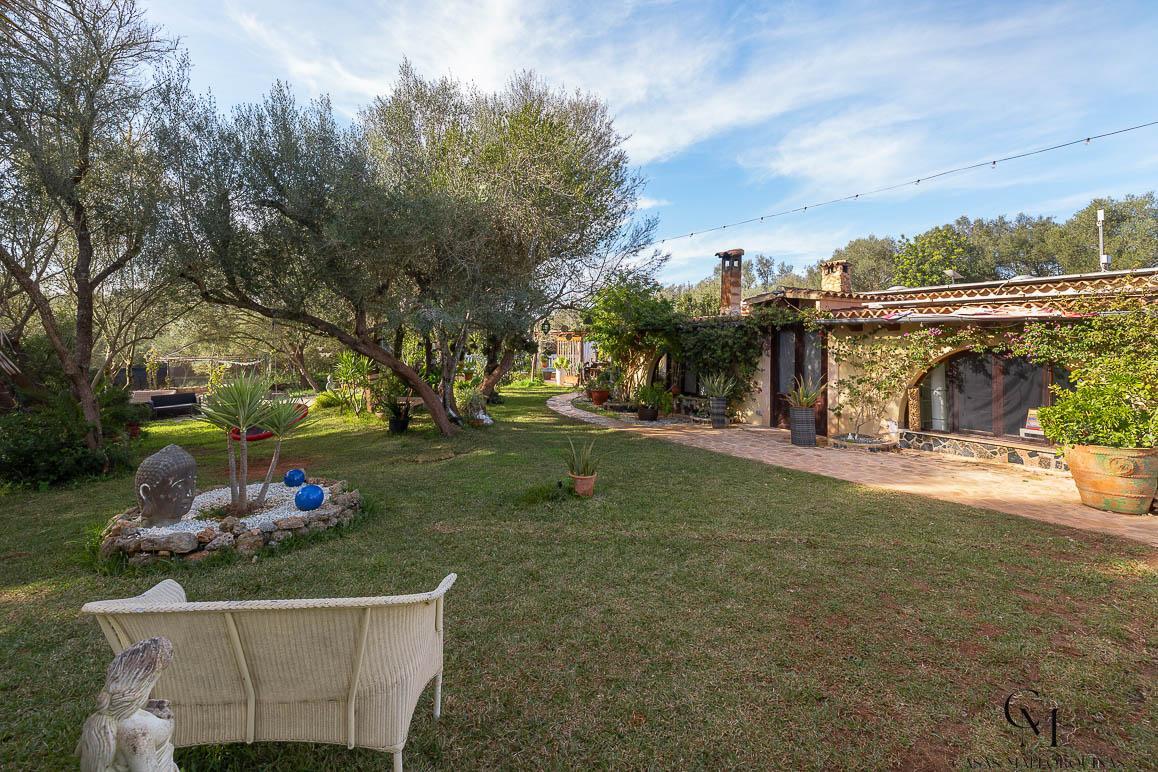 Venta de finca rústica en Algaida