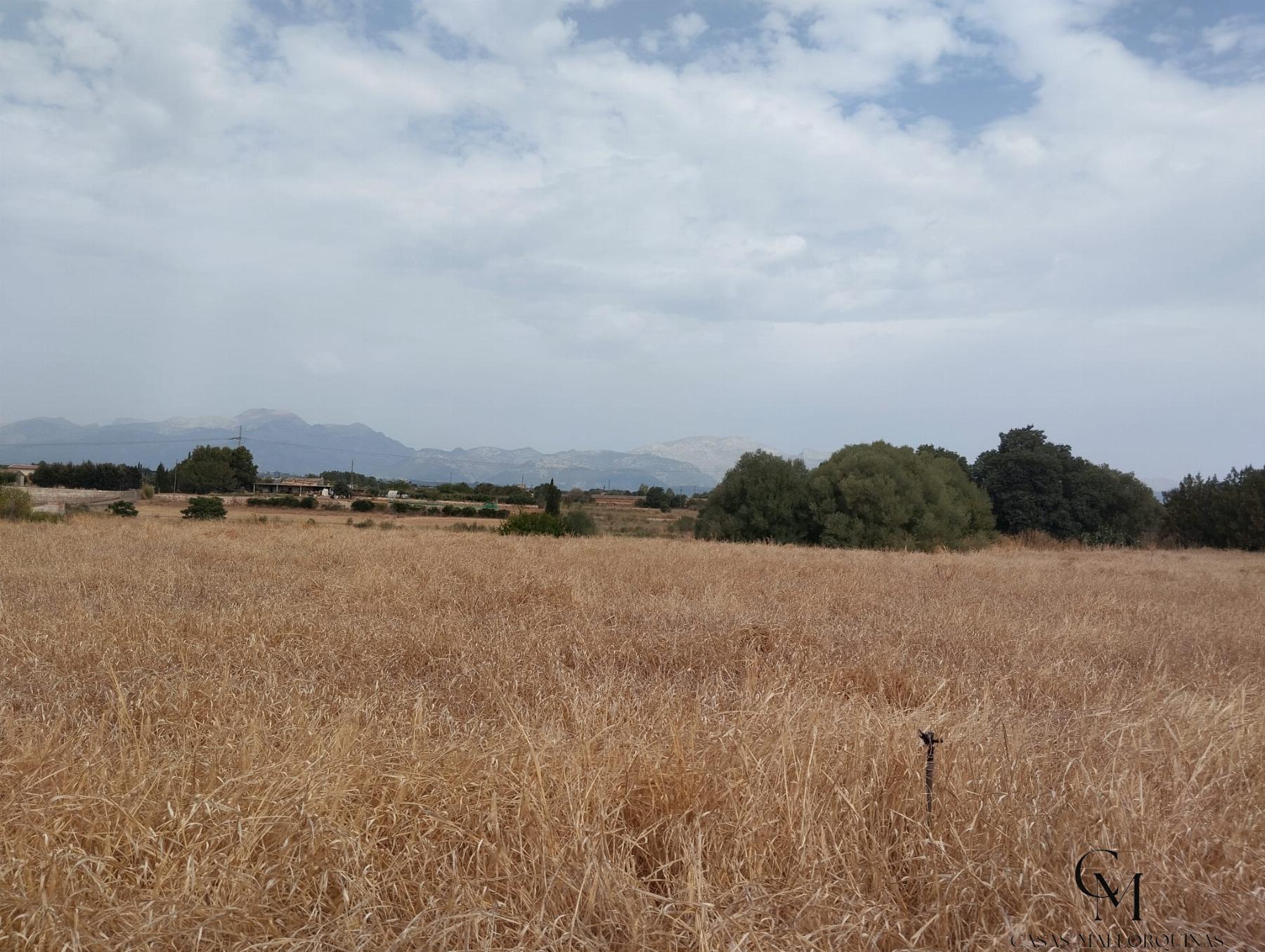 Venta de terreno en Muro