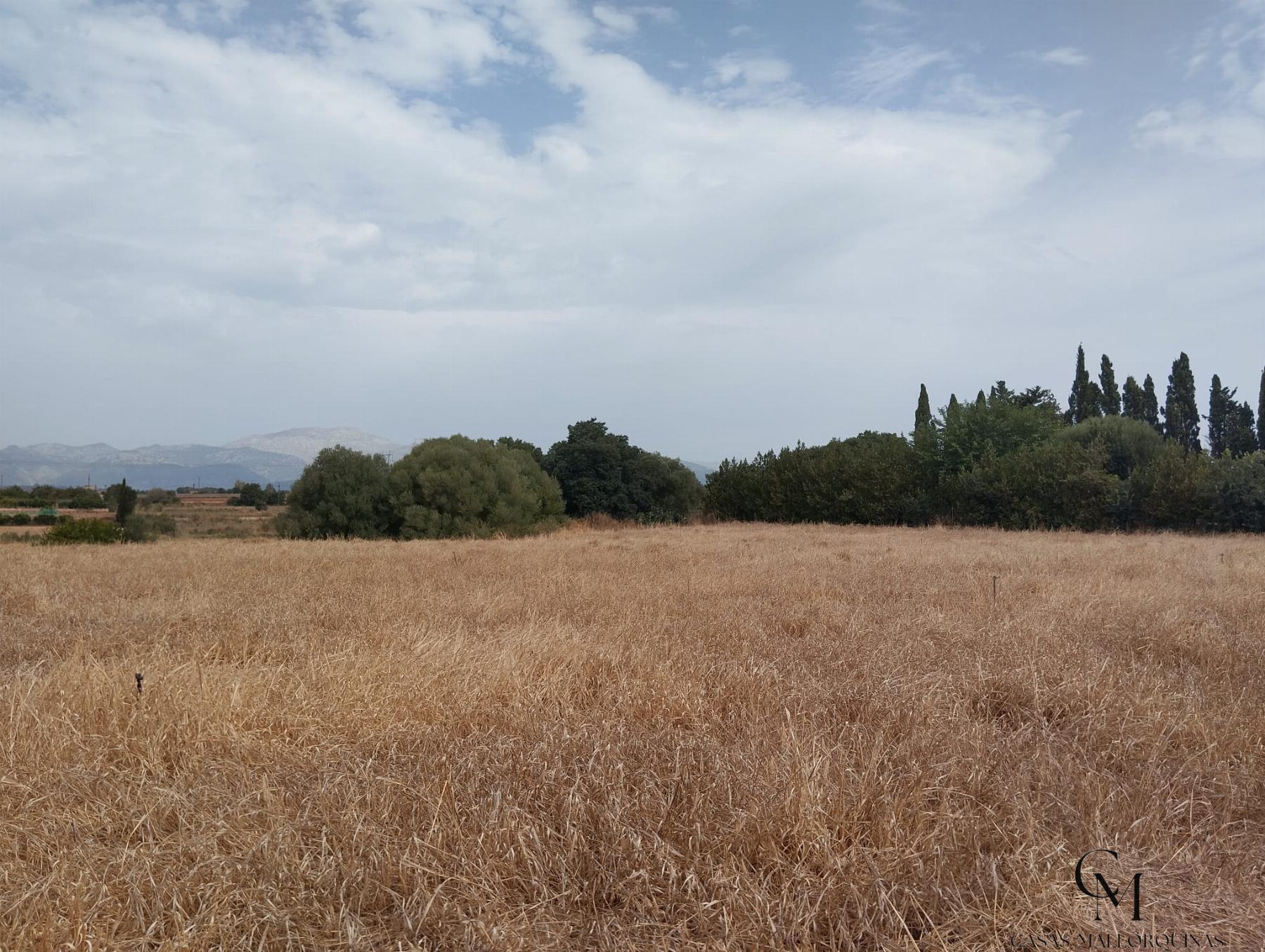 Venta de terreno en Muro