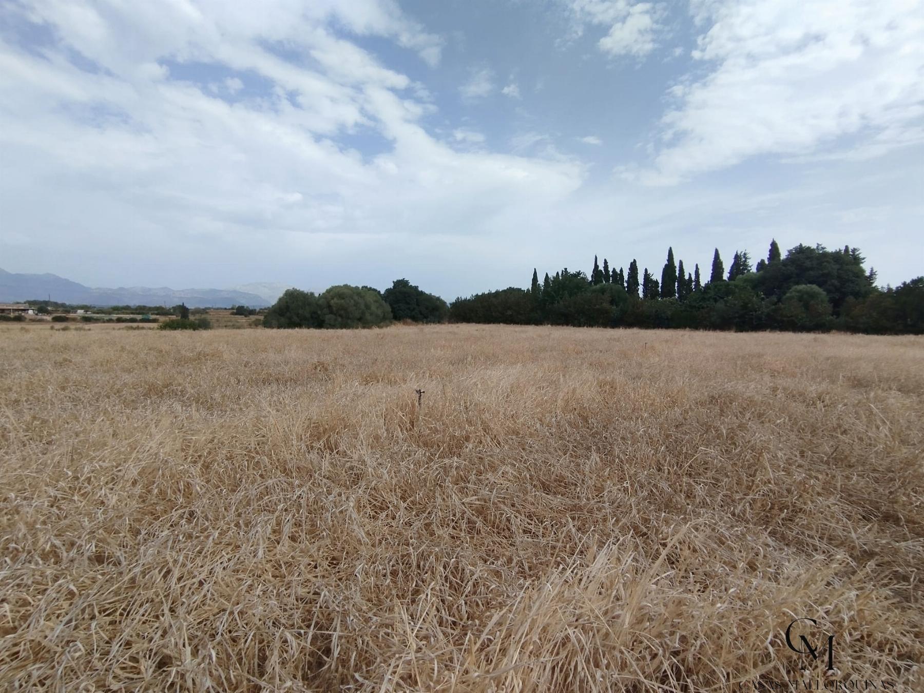 Venta de terreno en Muro