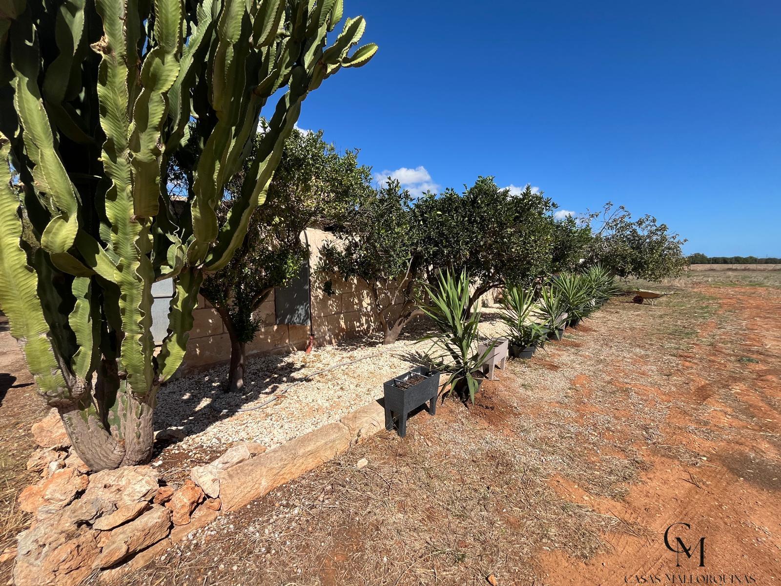 Venta de terreno en Muro