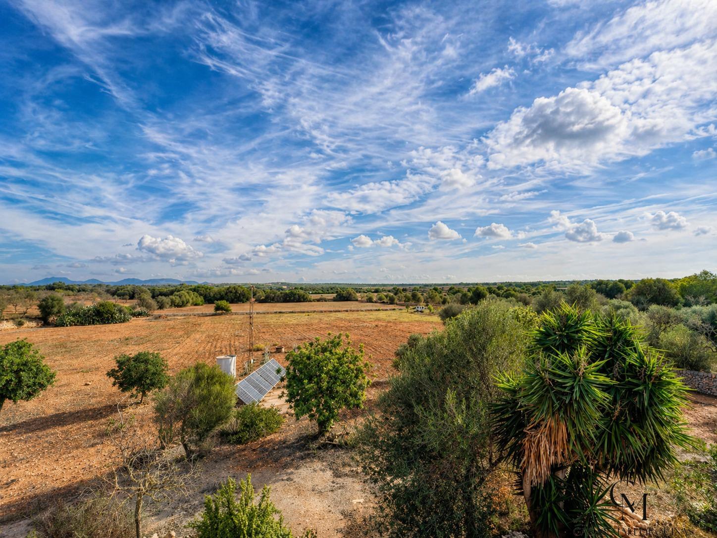 Venta de finca rústica en Ses Salines