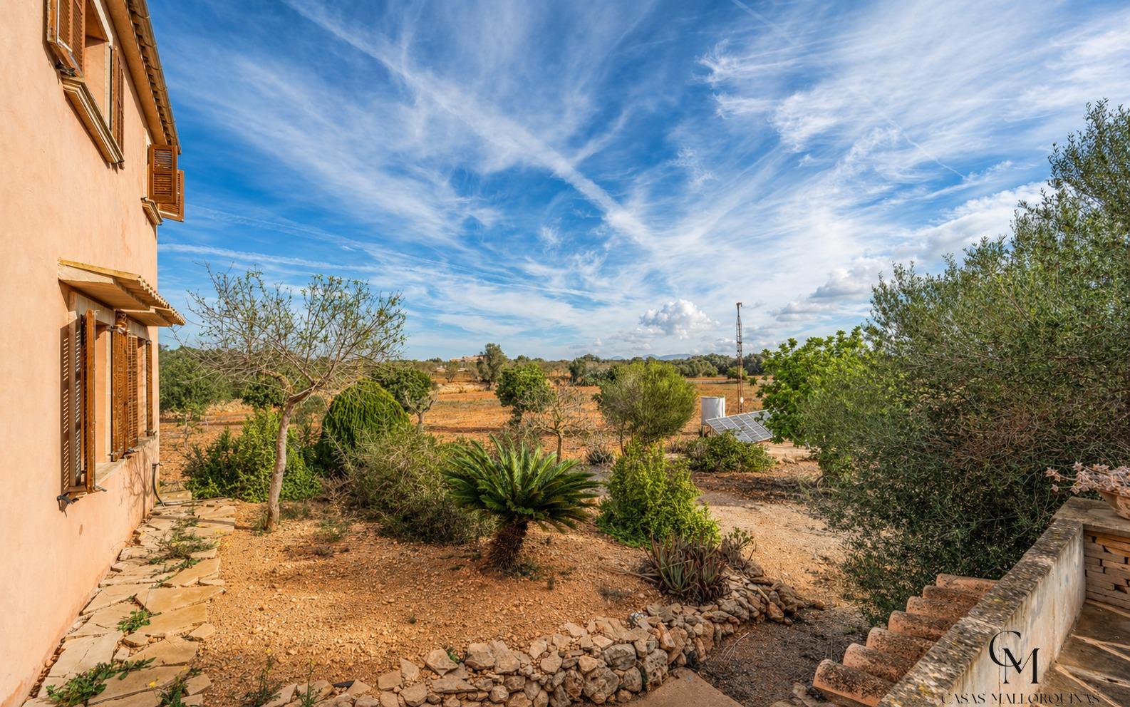 Venta de finca rústica en Ses Salines