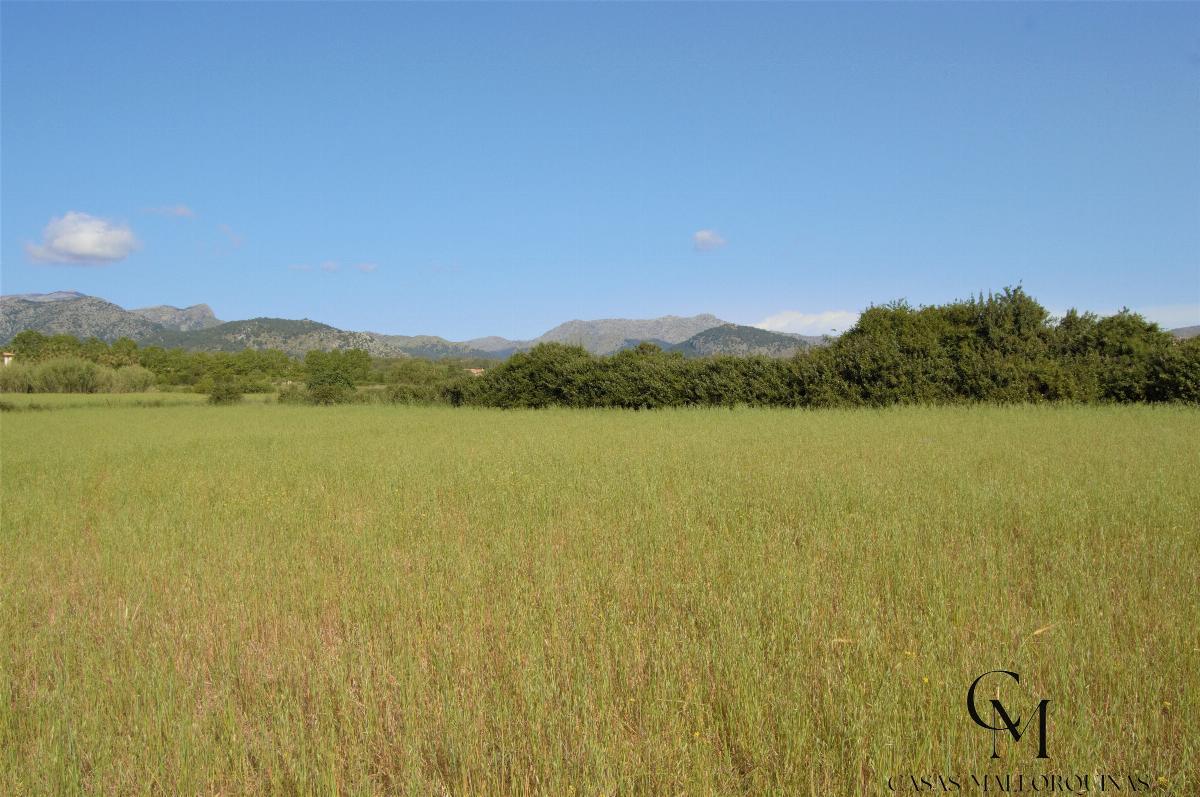 Venta de terreno en Alcúdia