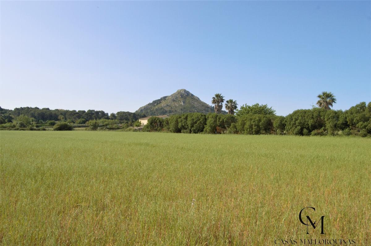 Venta de terreno en Alcúdia