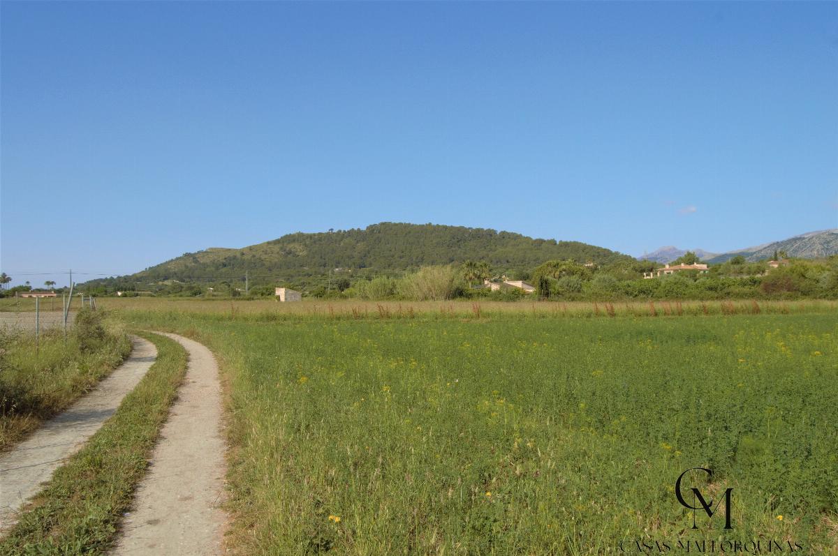Venta de terreno en Alcúdia