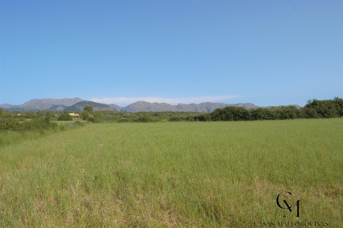 Venta de terreno en Alcúdia