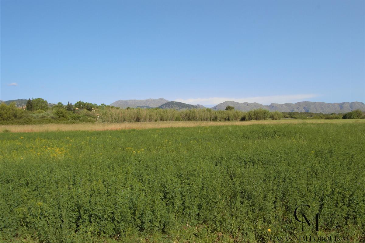 Venta de terreno en Alcúdia